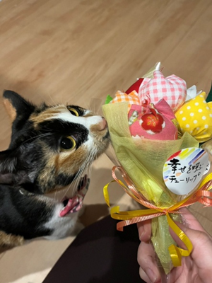 画像に alt 属性が指定されていません。ファイル名: image-10.png