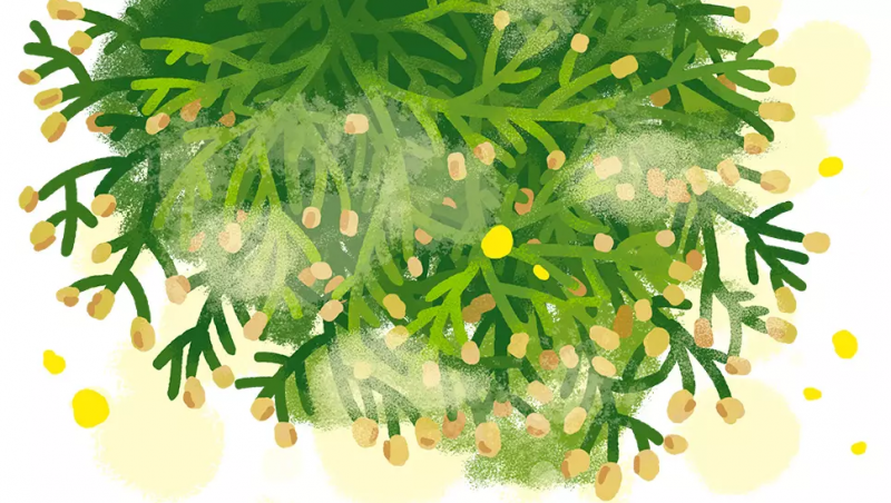 画像に alt 属性が指定されていません。ファイル名: image-11.png